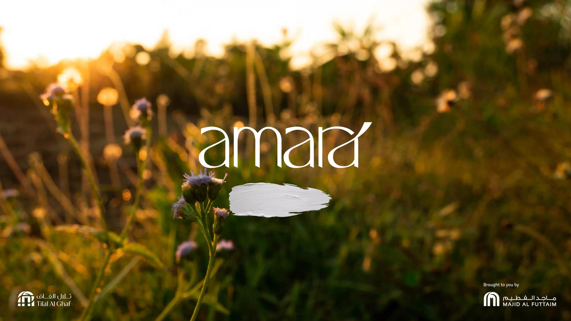 Amara Brochure ENG-36